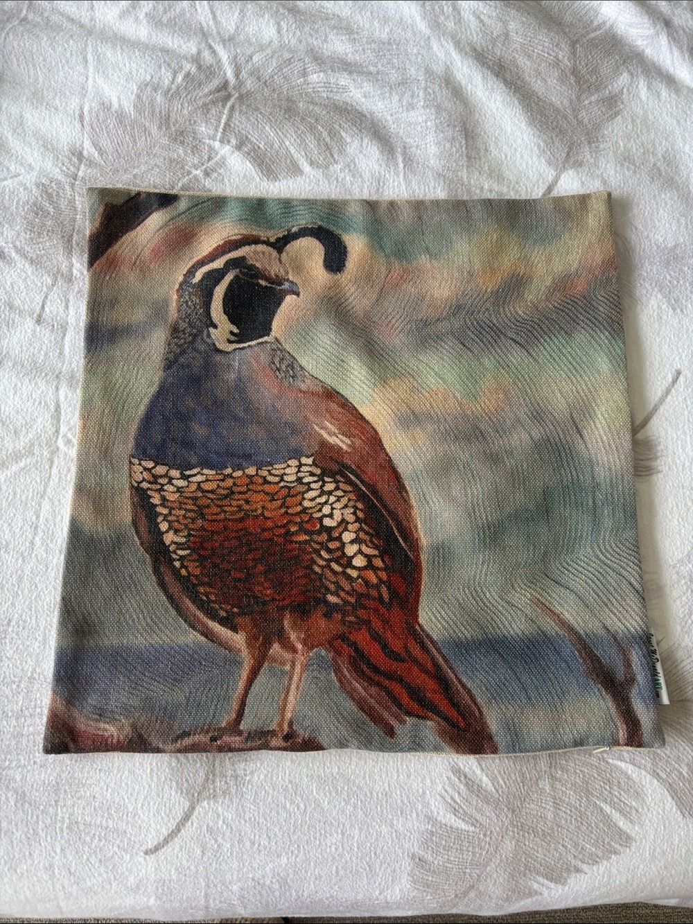 California Quail Print pillow cover by Janet McDonald Art 17”x17” zipper closure